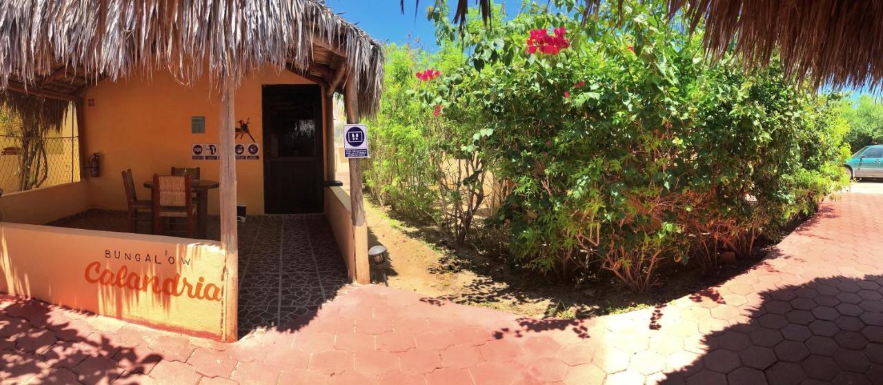 Bungalows Cabo Pulmo Exteriér fotografie