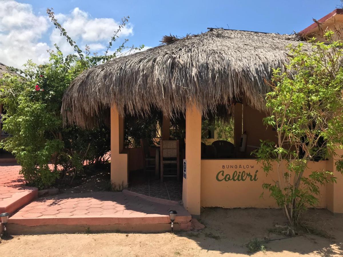 Bungalows Cabo Pulmo Exteriér fotografie