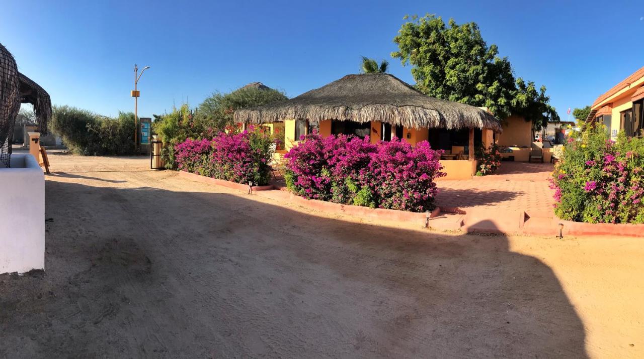 Bungalows Cabo Pulmo Exteriér fotografie