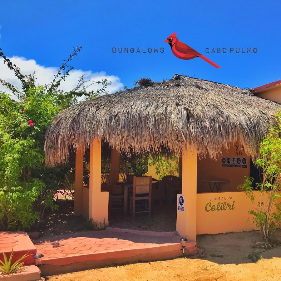 Bungalows Cabo Pulmo Exteriér fotografie