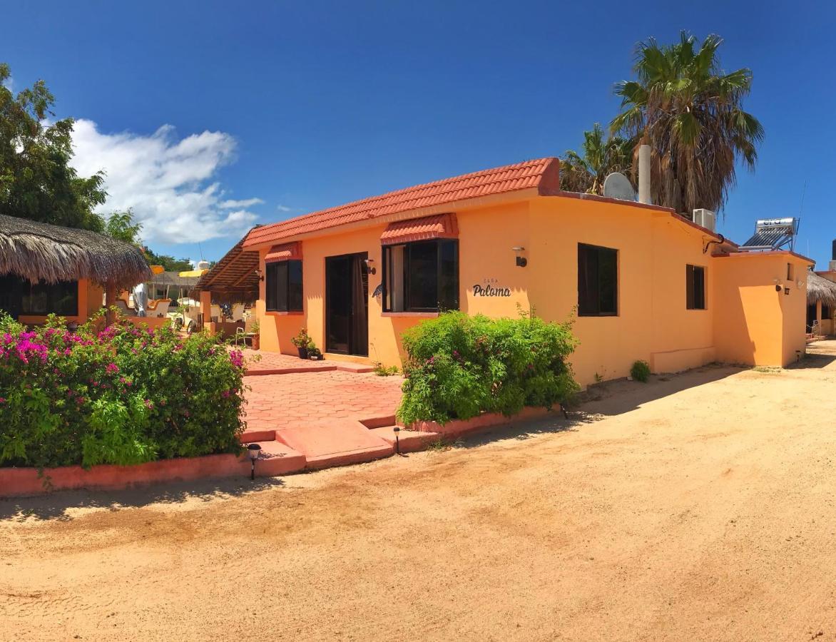 Bungalows Cabo Pulmo Exteriér fotografie