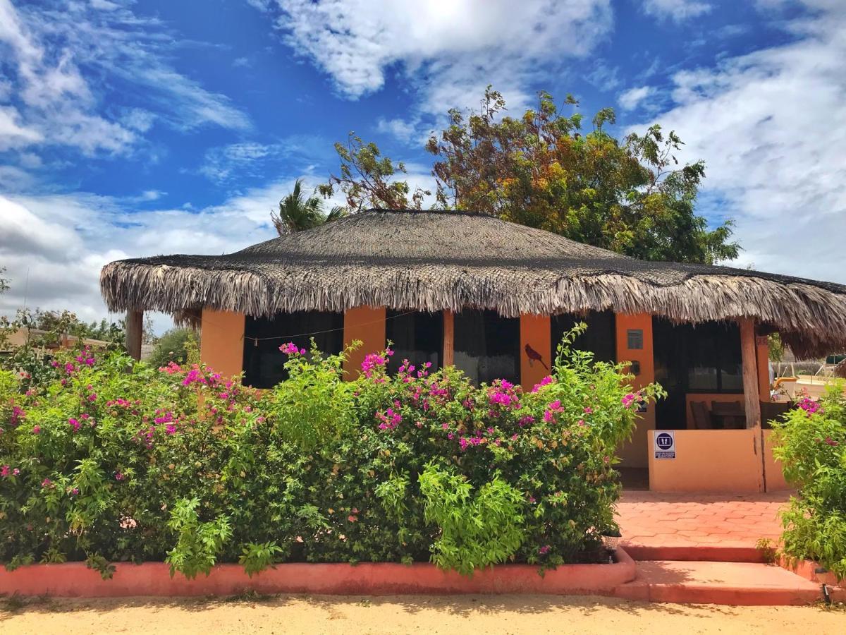 Bungalows Cabo Pulmo Exteriér fotografie