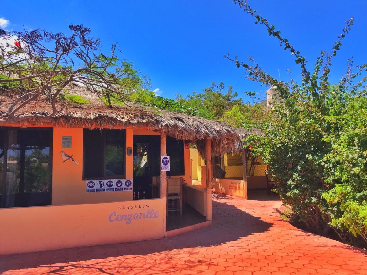 Bungalows Cabo Pulmo Exteriér fotografie