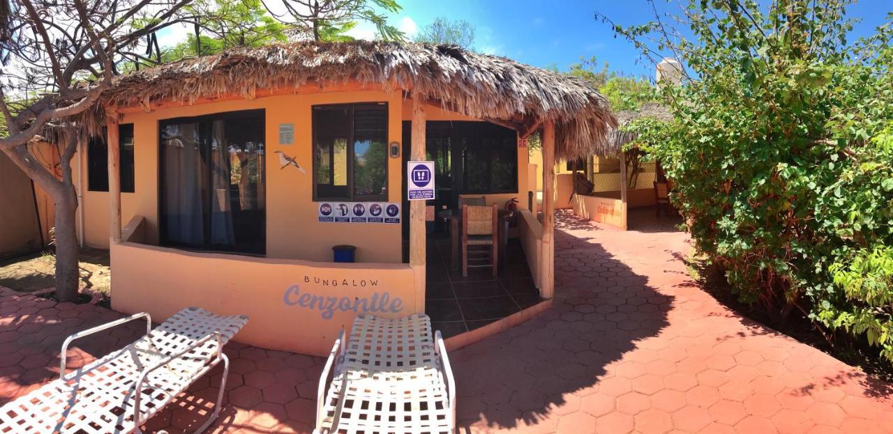 Bungalows Cabo Pulmo Exteriér fotografie