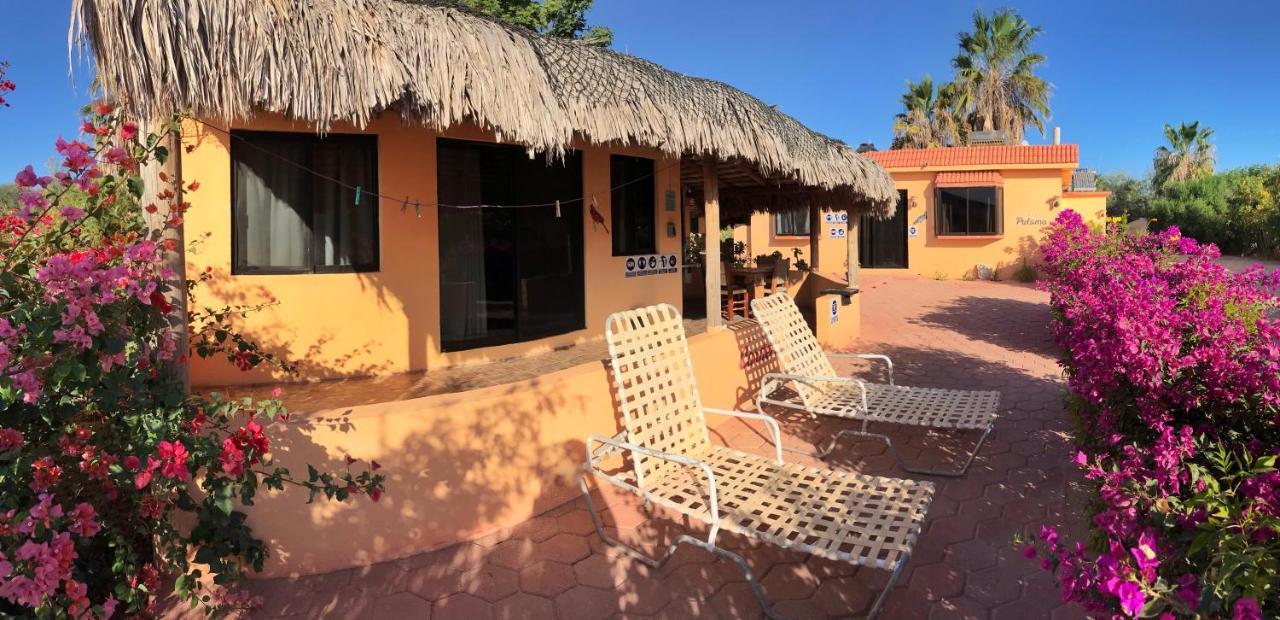 Bungalows Cabo Pulmo Exteriér fotografie